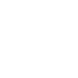 X (Twitter)